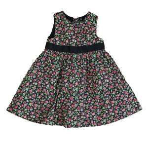 Gap Girls Navy Floral Dress size: 2T